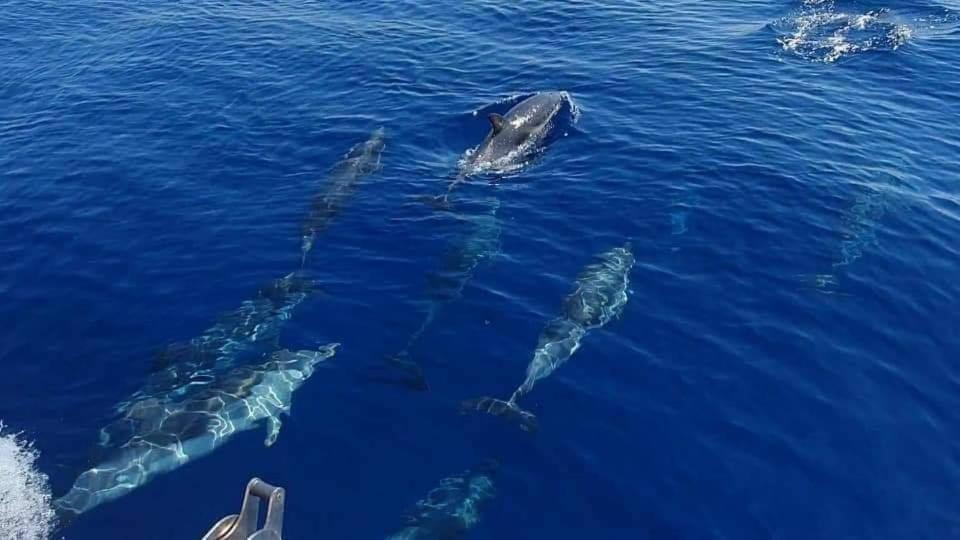Dolcesosta B&B Marina Di Pulsano Dış mekan fotoğraf