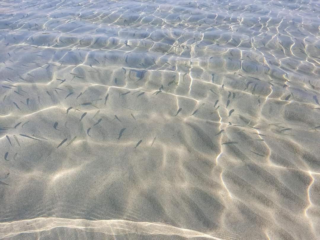 Dolcesosta B&B Marina Di Pulsano Dış mekan fotoğraf